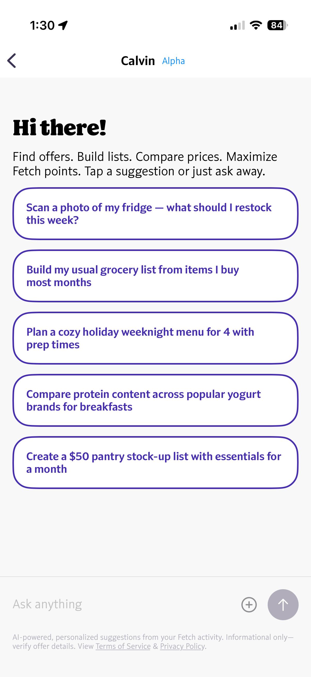 Welcome screen with intelligent prompt suggestions for shopping queries